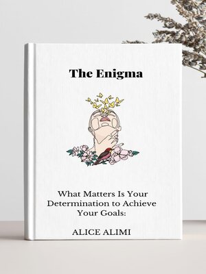 cover image of THE ENIGMA